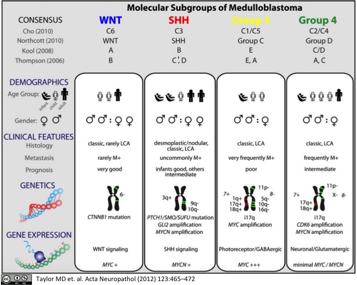 Molecular Subgroups of Medulloblastoma